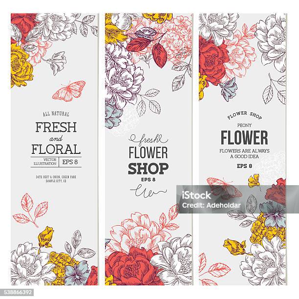 빈티지 작약 꽃 배너입니다 컬레션 선형 그래픽 플로럴 배너입니다 설정합니다 꽃-식물에 대한 스톡 벡터 아트 및 기타 이미지 - 꽃-식물, 나비, 라인아트