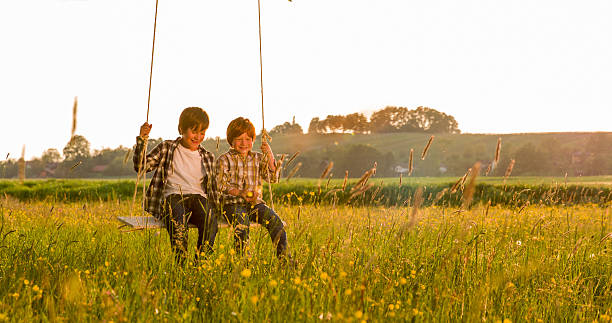 istock Happy brothers swinging on field 538866650