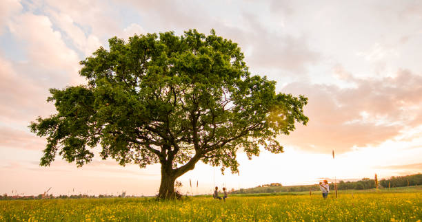 Family enjoying on beautiful field