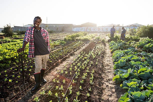 istock Young African Man Standing Smiling garden 538867152