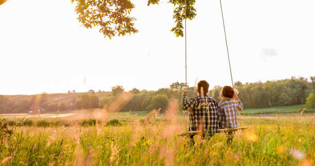 istock Rear view of brothers swinging on field 538867708