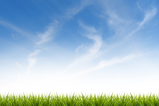 Fresh spring green grass under beautiful blue sky ,clouds and sunlight - use for background in natural summer concept