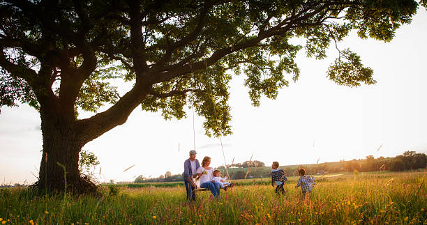 istock Family enjoying together in park 538868130