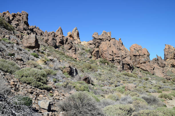 istock Roques de Garcia, Tenerife, Canary Islands, Spain 538871614