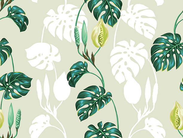 бесшовный узор с монстера листьев. декоративные изображение тропической растительности - cheese plant leaf tree park stock illustrations