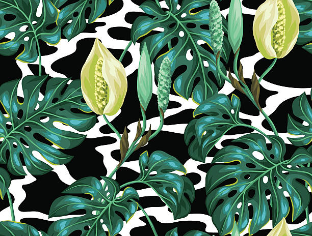 원활한 ~무늬 몬스 테라 잎. 이미지 열대 나뭇잎색 장식 - cheese plant leaf tree park stock illustrations