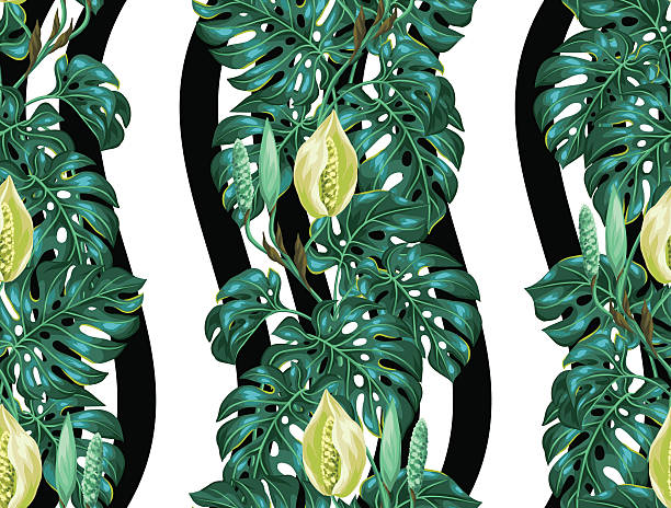 원활한 ~무늬 몬스 테라 잎. 이미지 열대 나뭇잎색 장식 - cheese plant leaf tree park stock illustrations