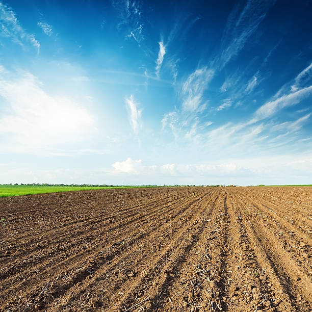 istock sunset in deep blue sky and black plowed field 538873114
