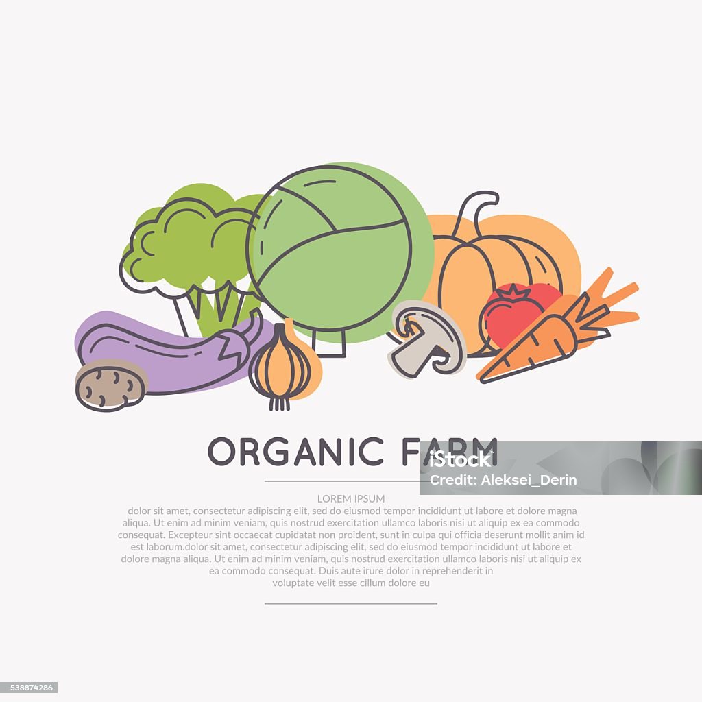 Organic food poster. Organic food. A poster with fresh vegetables. Vector illustration. Agriculture stock vector