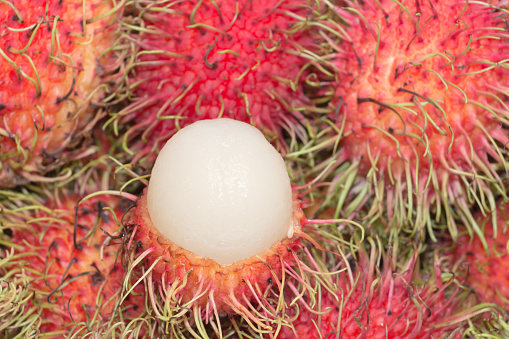 Isolated thai durian fruit