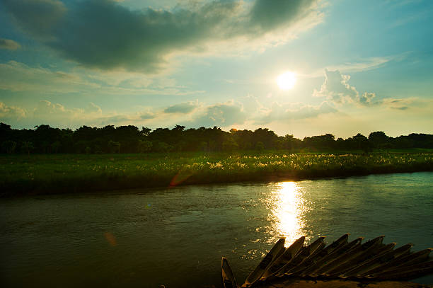 Pirogues on the Rapti river in Chitwan, Nepal