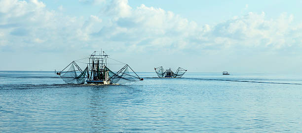 fisher boats get ready for night catch at Fairhope, USA. Fairhope is famous for the Alabama crab.