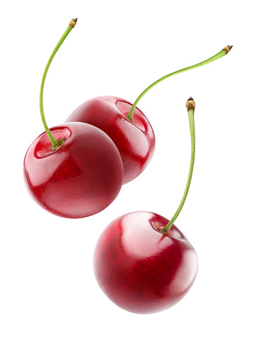 Isolated flying cherries. Three falling cherry fruits isolated on white background with clipping path