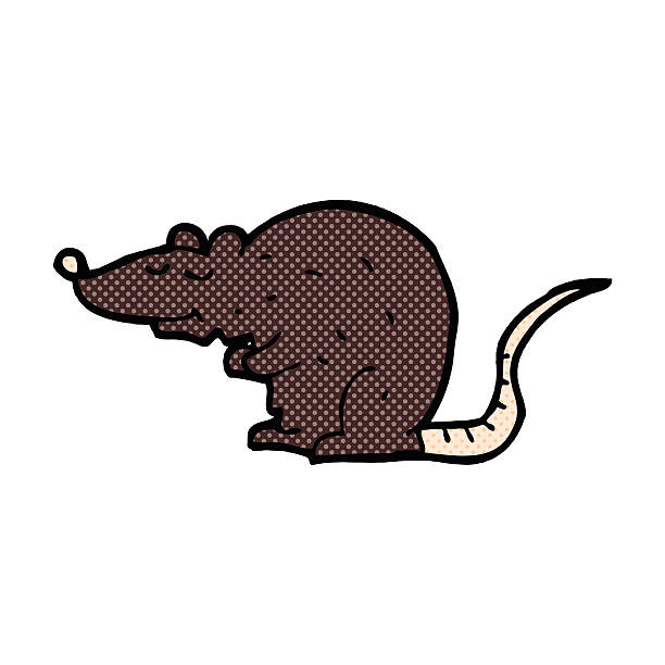 8 Rat Cartoon 990+ How To Draw A Rat Clip Art Stock Illustrations, Royalty-Free ...
