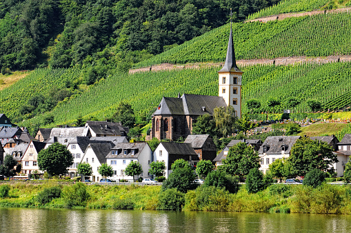 Mosel river at village Bremm with vineyard Calmont