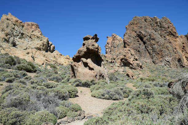 istock Roques de Garcia, Tenerife, Canary Islands, Spain 538879664