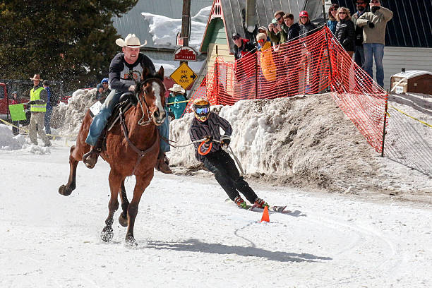 skier rounding a slalom cone in a skijoring competition - gekke paarden stockfoto's en -beelden