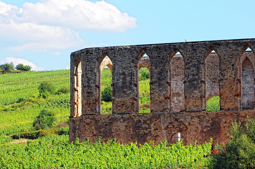old monastery ruin in Stuben at mosel river