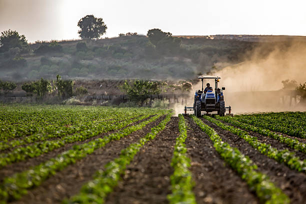 landwirtschaft mit maschine - farm worker stock-fotos und bilder