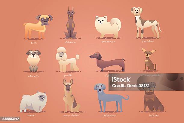 Vetores de Conjunto De Alemão Cães Formato Bonito Dos Desenhos Animados Vetor Ilustração e mais imagens de Animal