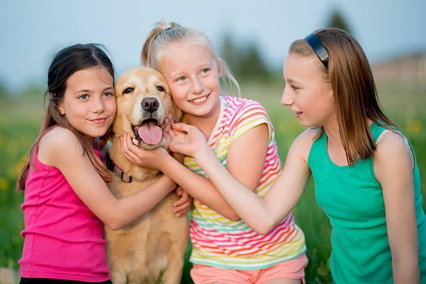 istock Little Girl Playing with Their Dog 538887990