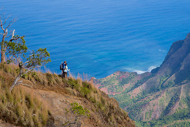 istock Looking at the View of the Ocean 538888250
