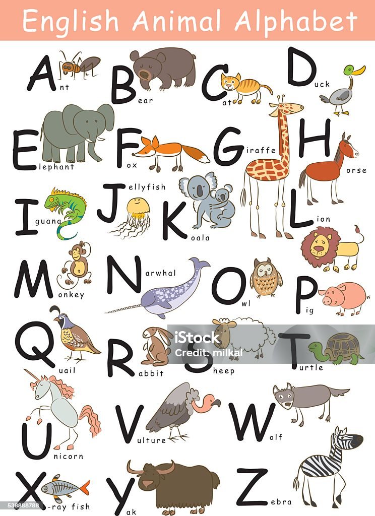 English Animal Alphabet Stock Illustration - Download Image Now - Alphabet,  Animal, Poster - iStock