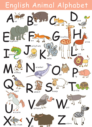 English Animal Alphabet Stock Illustration - Download Image Now - Alphabet,  Animal, Poster - iStock