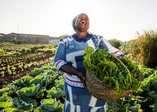 rir mulher africana - vegetable green close up agriculture imagens e fotografias de stock