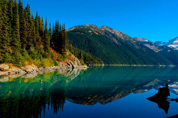Reflection Taken in the majestic Garibaldi Provincial park BC, Canada. This mirror like reflection forms a perfect heart shape and evokes my true feelings about this wonderful place. garibaldi park stock pictures, royalty-free photos & images