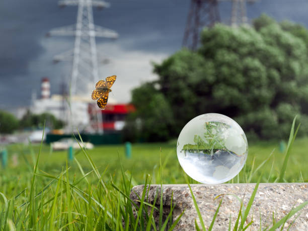 istock Glass ball on concrete, green grass 538892092