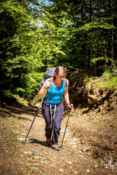 istock Young female hiker with backpack and hiking poles. 538893170