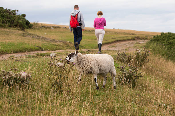 istock Part of the countryside 538893714