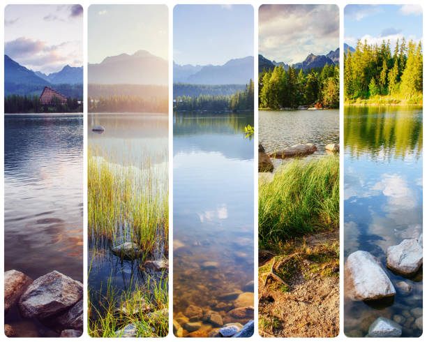 istock Creative collage majestic mountains and lakes in the High Park. 538893828
