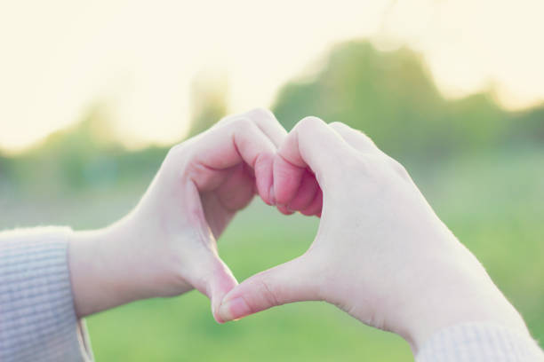 istock Hands folded in the shape of heart 538895438