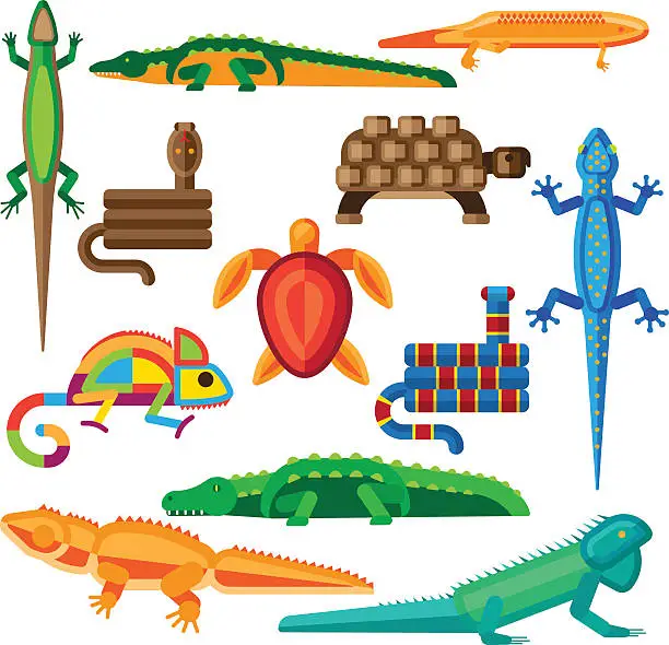 Vector illustration of Reptiles vector set.