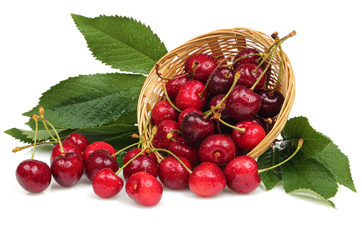 A basket full of sweet red cherries