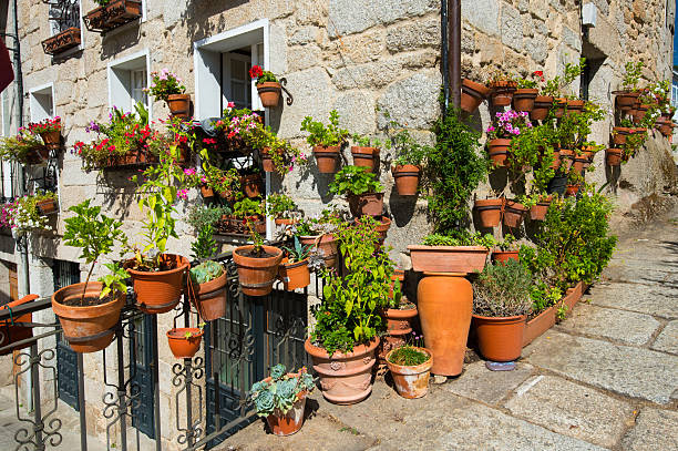 istock Flower pots with plants in old town 538899774