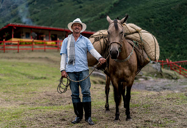 fazendeiro carregando colheita em um cavalo - coffee bag sack bean - fotografias e filmes do acervo