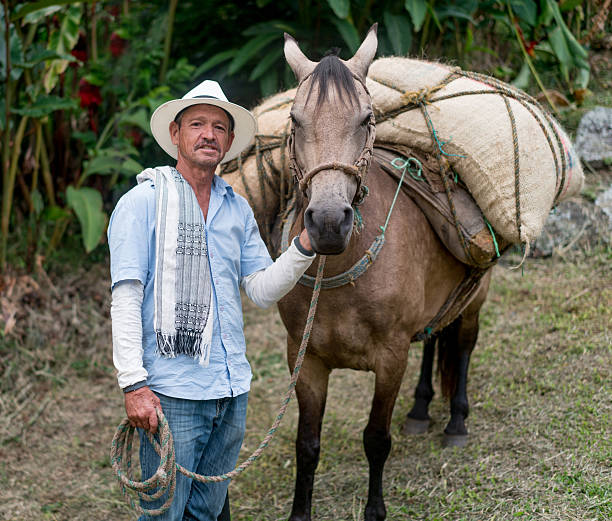 istock Colombian man working at a coffee farm 538899982