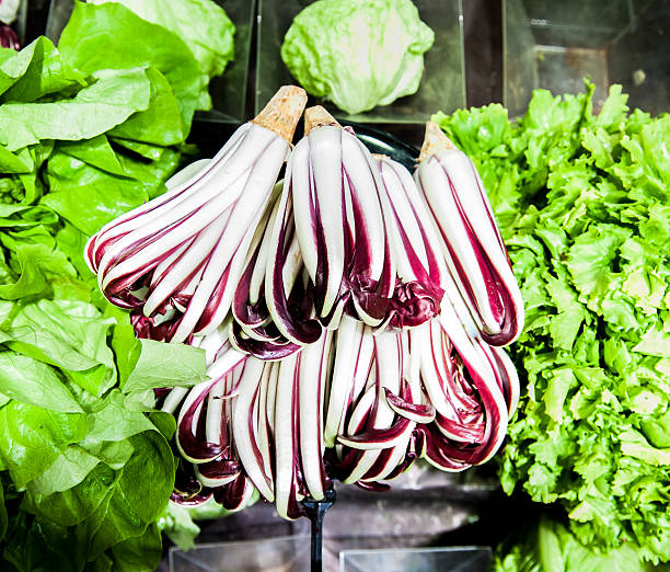Bunch of italian salad radicchio in market