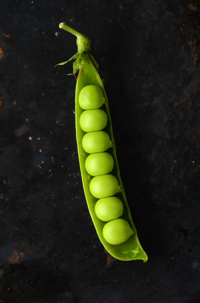 Fresh  organic green peas