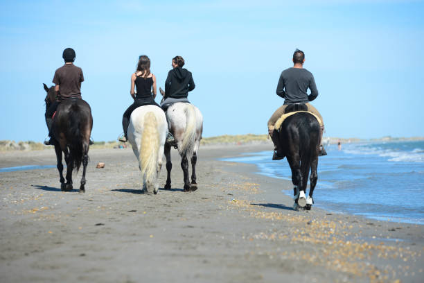 istock group people riding horses on beach in sunny summer day 538901900