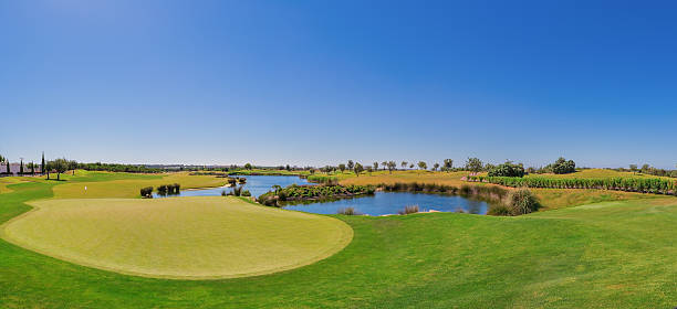istock Summer panorama of the golf course. On the lake. 538902147