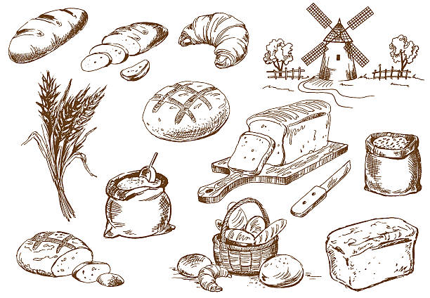 Bread set Bread set. Pen sketch converted to vectors. bun bread stock illustrations