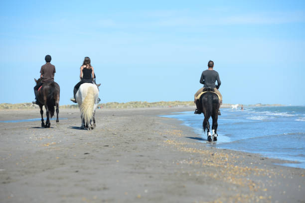 istock group people riding horses on beach in sunny summer day 538902978