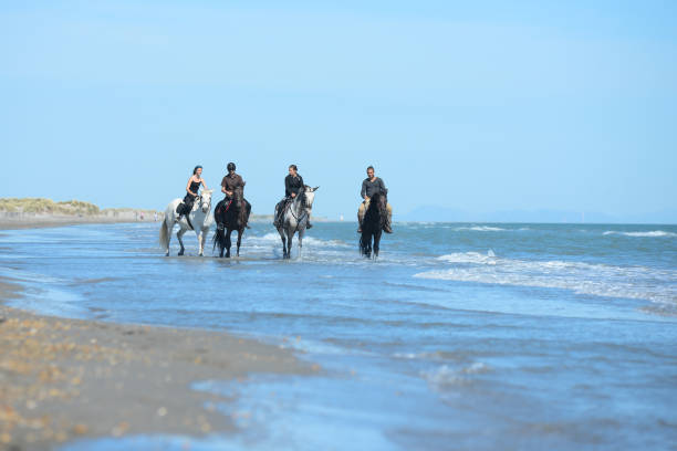 grupo de pessoas equitação de sol na praia em dia de verão - horse animals in the wild water beach imagens e fotografias de stock