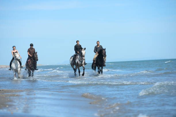 istock group people riding horses on beach in sunny summer day 538903462