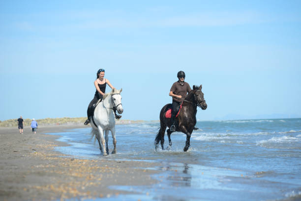 istock young people riding horses on beach in sunny summer day 538903750