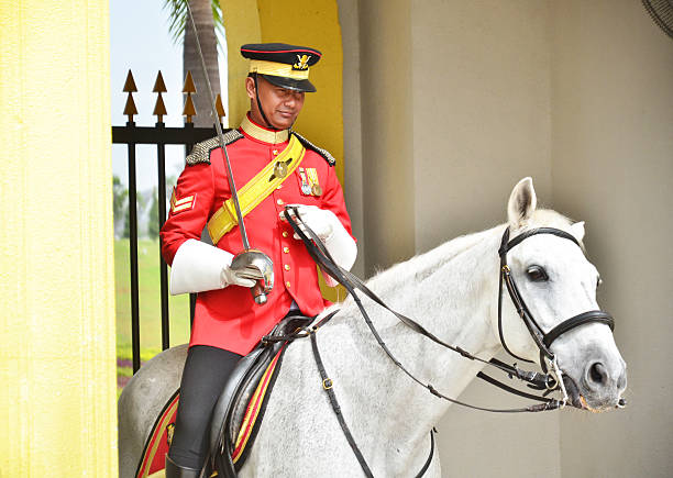 malásia palácio nacional de caneleiras - guard of honor imagens e fotografias de stock